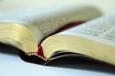 Foolish and Wise Holy Bible: Guard the Tongue