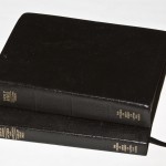 Book of Mormon and Bible
